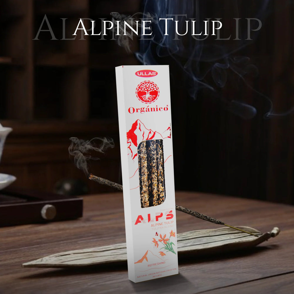 Ullas Alps Alpine Tulip