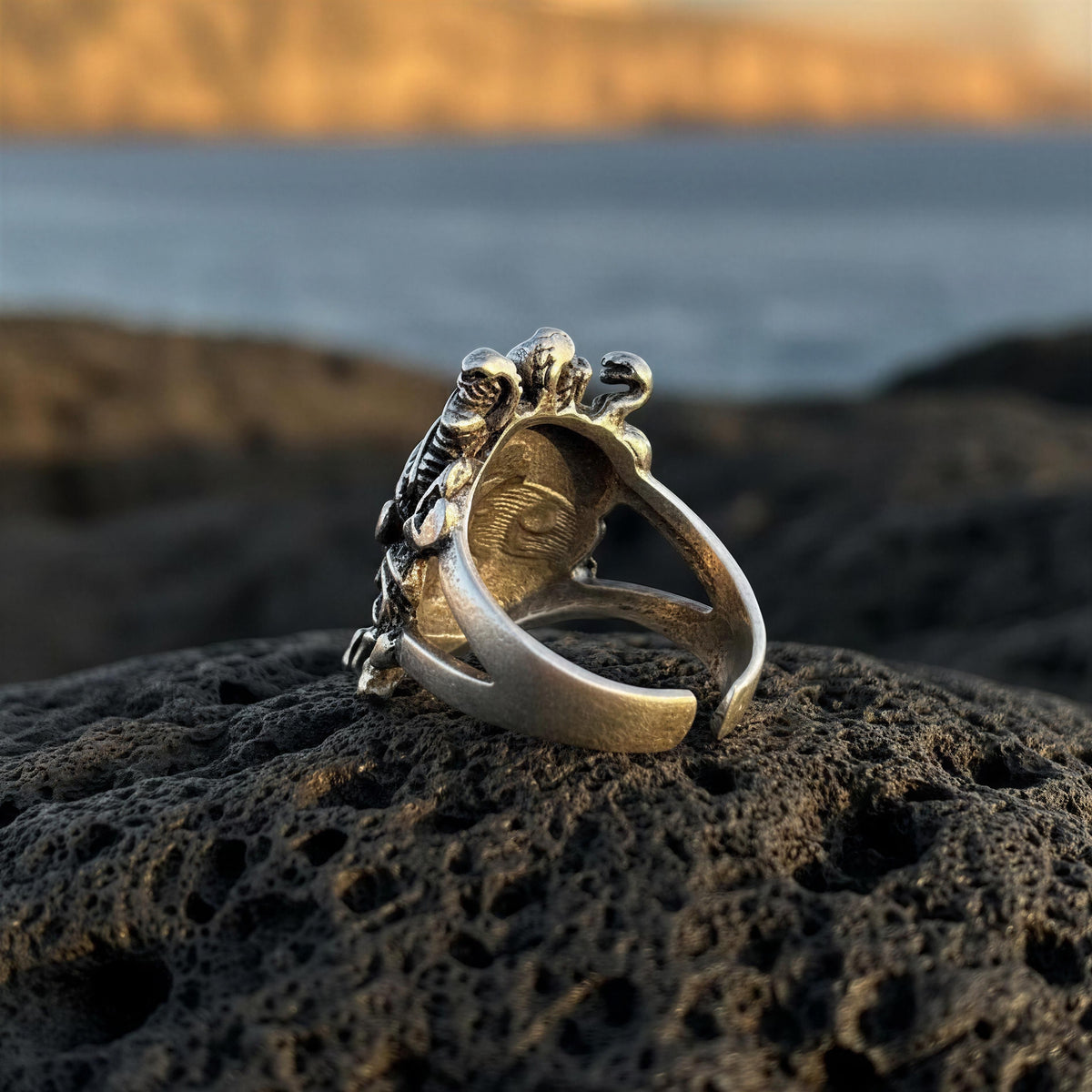 Anillo Medusa