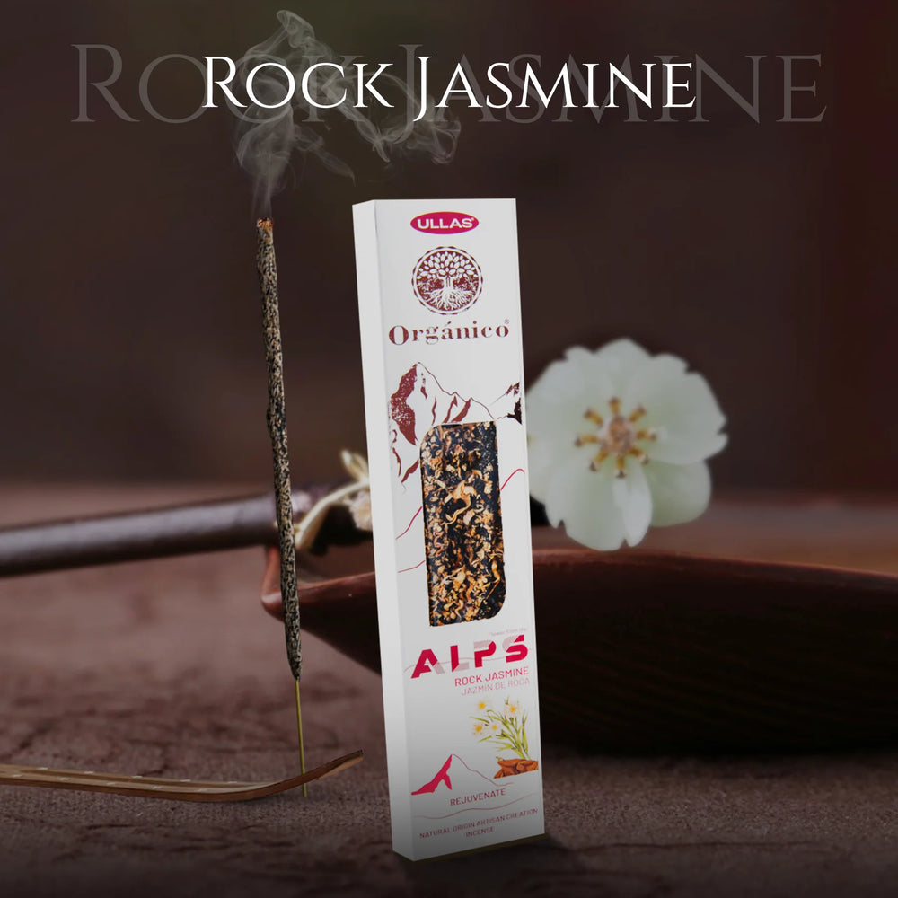 Ullas Rock Jasmine